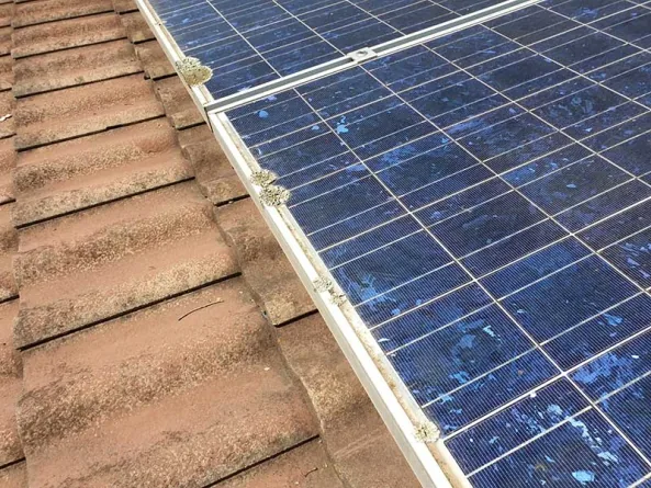 solar panel cleaning