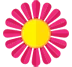 Spring Icon