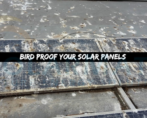 Bird proofing for solar panels